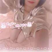 ヒメ日記 2025/11/29 09:22 投稿 あんじゅ エマニエル