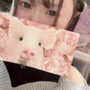 ヒメ日記 2025/03/21 10:18 投稿 椿なぎ 恋する妻たち