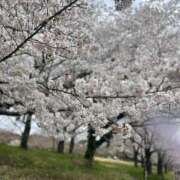 ヒメ日記 2025/04/20 00:48 投稿 椿なぎ 恋する妻たち