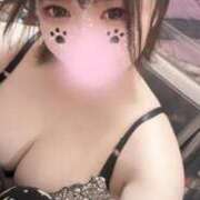 ヒメ日記 2025/06/14 09:53 投稿 椿なぎ 恋する妻たち