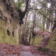 椿なぎ うっとり 恋する妻たち