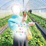 ヒメ日記 2025/03/16 12:04 投稿 君島　きょうか 川崎南町人妻高級ソープ エル・カーヒル(ELCURHIL)秘密の刻