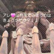 ヒメ日記 2025/04/26 14:13 投稿 君島　きょうか 川崎南町人妻高級ソープ エル・カーヒル(ELCURHIL)秘密の刻