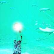 ヒメ日記 2025/07/17 18:14 投稿 君島　きょうか 川崎南町人妻高級ソープ エル・カーヒル(ELCURHIL)秘密の刻