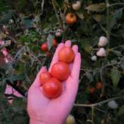 ヒメ日記 2025/07/30 12:01 投稿 君島　きょうか 川崎南町人妻高級ソープ エル・カーヒル(ELCURHIL)秘密の刻