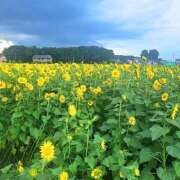 ヒメ日記 2025/08/15 07:00 投稿 君島　きょうか 川崎南町人妻高級ソープ エル・カーヒル(ELCURHIL)秘密の刻