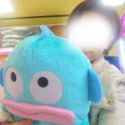 ヒメ日記 2025/09/05 12:03 投稿 君島　きょうか 川崎南町人妻高級ソープ エル・カーヒル(ELCURHIL)秘密の刻