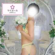 ヒメ日記 2025/09/24 14:01 投稿 君島　きょうか 川崎南町人妻高級ソープ エル・カーヒル(ELCURHIL)秘密の刻