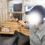 ヒメ日記 2025/11/10 09:45 投稿 君島　きょうか 川崎南町人妻高級ソープ エル・カーヒル(ELCURHIL)秘密の刻