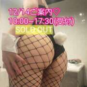 ヒメ日記 2026/02/14 12:09 投稿 君島　きょうか 川崎南町人妻高級ソープ エル・カーヒル(ELCURHIL)秘密の刻