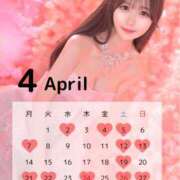 ヒメ日記 2025/04/02 16:01 投稿 かれん ムーランルージュ