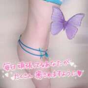 ヒメ日記 2025/01/25 08:07 投稿 真白　こむぎ エンジェルコースト