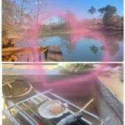 ヒメ日記 2025/01/29 00:15 投稿 真白　こむぎ エンジェルコースト