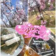 ヒメ日記 2025/03/29 00:55 投稿 真白　こむぎ エンジェルコースト