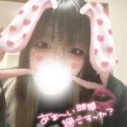 ヒメ日記 2025/04/14 19:13 投稿 海野【うみの】 丸妻 西船橋店