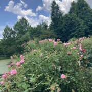 ヒメ日記 2025/07/12 19:30 投稿 ふみ プリティラビット