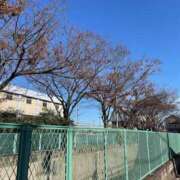 ヒメ日記 2024/12/12 15:48 投稿 志乃(しの) Chaleur (シャルール)