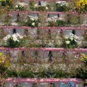 ヒメ日記 2025/03/22 18:23 投稿 志乃(しの) Chaleur (シャルール)