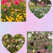 ヒメ日記 2025/04/21 07:12 投稿 志乃(しの) Chaleur (シャルール)