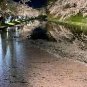 ヒメ日記 2025/04/29 09:13 投稿 志乃(しの) Chaleur (シャルール)