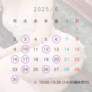 ヒメ日記 2025/05/22 10:31 投稿 志乃(しの) Chaleur (シャルール)