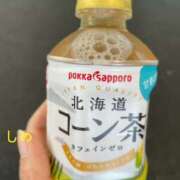 ヒメ日記 2025/06/30 08:15 投稿 志乃(しの) Chaleur (シャルール)