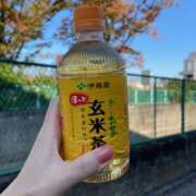 ヒメ日記 2025/11/10 08:46 投稿 志乃(しの) Chaleur (シャルール)