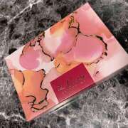 ヒメ日記 2026/02/13 14:54 投稿 志乃(しの) Chaleur (シャルール)