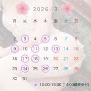 ヒメ日記 2026/02/21 20:05 投稿 志乃(しの) Chaleur (シャルール)