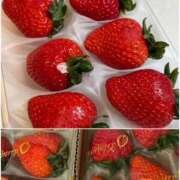 ヒメ日記 2026/03/01 19:21 投稿 志乃(しの) Chaleur (シャルール)