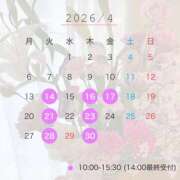 ヒメ日記 2026/03/26 15:40 投稿 志乃(しの) Chaleur (シャルール)
