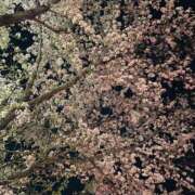 ヒメ日記 2026/04/03 07:40 投稿 志乃(しの) Chaleur (シャルール)