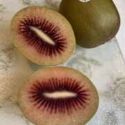 ヒメ日記 2026/04/30 08:53 投稿 志乃(しの) Chaleur (シャルール)