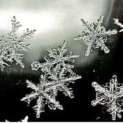 ヒメ日記 2025/02/04 07:03 投稿 みお 奥様電車