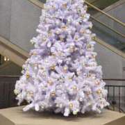 ヒメ日記 2025/12/08 11:25 投稿 みお 奥様電車