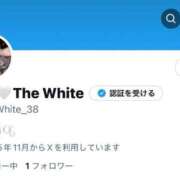ヒメ日記 2025/11/29 20:20 投稿 さや The White