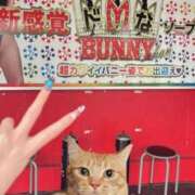 ヒメ日記 2025/03/06 11:32 投稿 アム ドMなバニーちゃん水戸店
