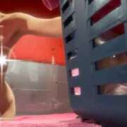 ヒメ日記 2025/04/15 11:00 投稿 ポン ドMなバニーちゃん水戸店