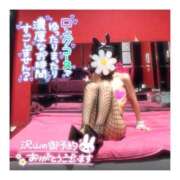 ヒメ日記 2025/07/22 09:00 投稿 ポン ドMなバニーちゃん水戸店