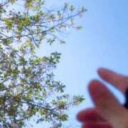 ヒメ日記 2026/04/12 12:06 投稿 ポン ドMなバニーちゃん水戸店