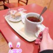 ポン 近状報告🐰🛁*。 ドMなバニーちゃん水戸店
