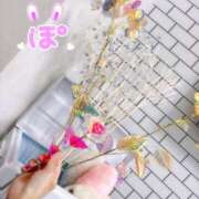 ヒメ日記 2026/08/01 15:31 投稿 ポン ドMなバニーちゃん水戸店