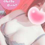 ヒメ日記 2026/03/10 15:56 投稿 ユカリ ドMなバニーちゃん水戸店