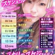 ヒメ日記 2026/09/24 12:48 投稿 ユカリ ドMなバニーちゃん水戸店