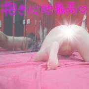 ヒメ日記 2026/09/24 21:06 投稿 ユカリ ドMなバニーちゃん水戸店