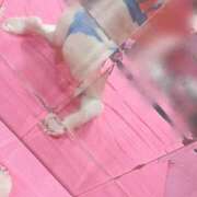 ヒメ日記 2026/10/17 16:16 投稿 ユカリ ドMなバニーちゃん水戸店