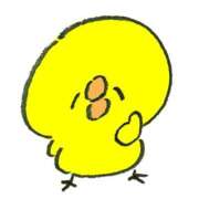 ヒメ日記 2025/01/14 17:48 投稿 スズノ ドMなバニーちゃん水戸店