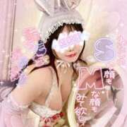 ヒメ日記 2025/03/12 17:02 投稿 スズノ ドMなバニーちゃん水戸店