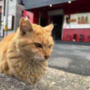 ヒメ日記 2025/04/02 18:42 投稿 ラムネ ドMなバニーちゃん水戸店