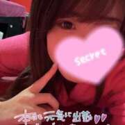 ヒメ日記 2024/12/19 09:59 投稿 フウカ ドMなバニーちゃん水戸店